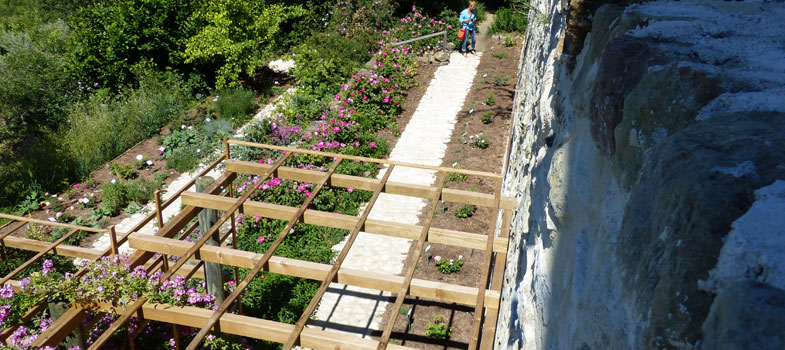 La Voie des Roses � l�Abbaye de Valsaintes