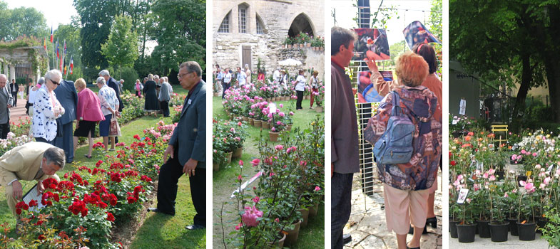 Rencontres, concours de roses nouvelles, �v�nements, salons ou exposition... Toute l'actualit�s du monde de la rose