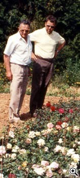 Obtention et s�lection de nouvelles roses : premi�re s�lection des jeunes plants en juillet de l'ann�e N+1